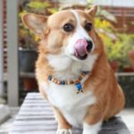 管理人