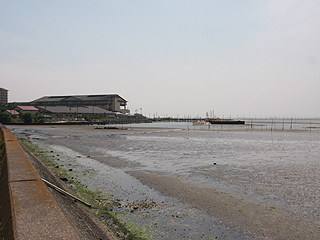 金田海岸 千葉県の潮干狩り情報 管理釣り場ドットコム