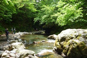 奈良子釣りセンター渓流エリア写真