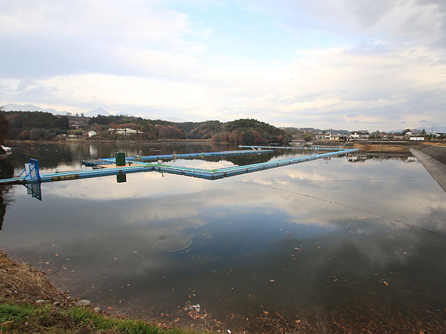鳴沢湖わかさぎ画像