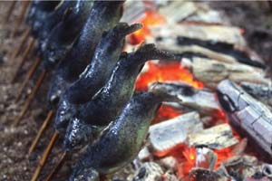 那須フィッシュランド釣った魚は塩焼きに写真