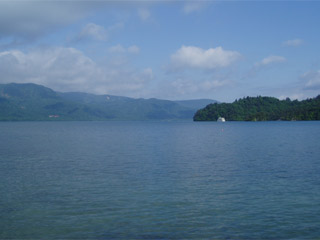 十和田湖わかさぎ画像