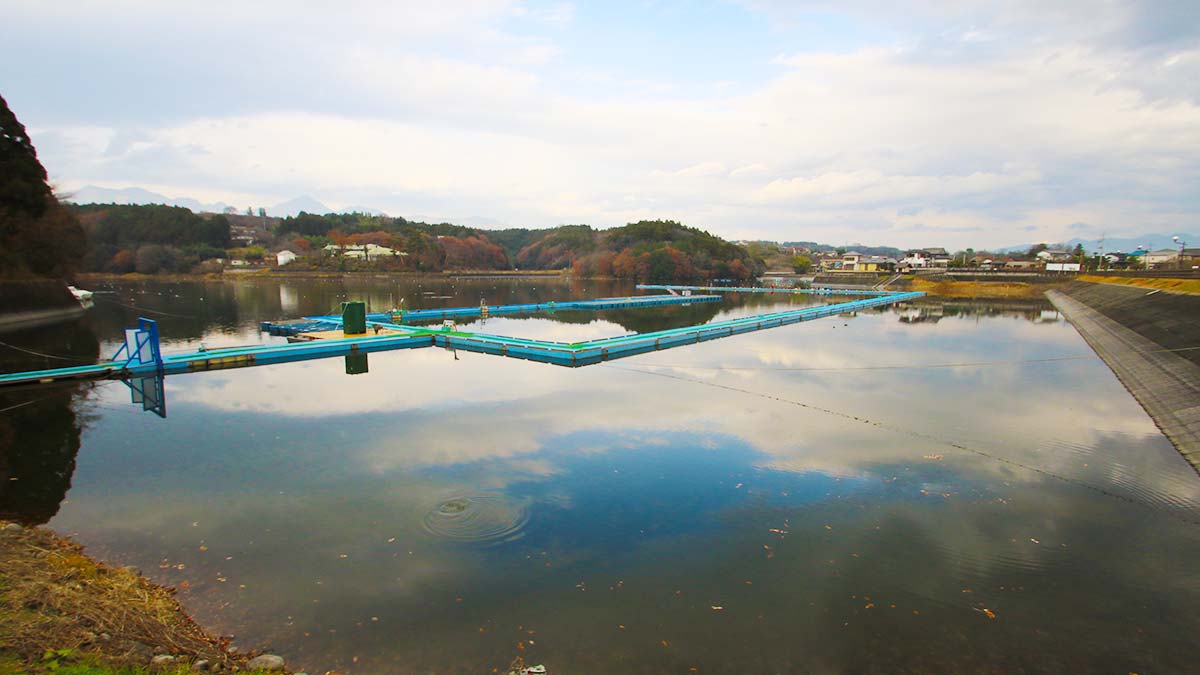 鳴沢湖