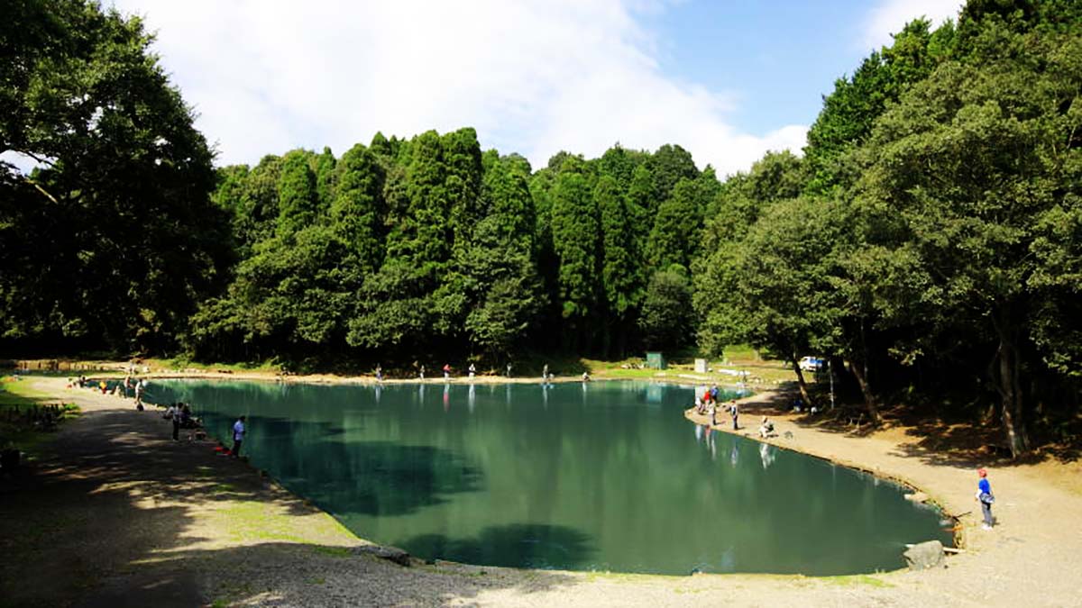 千葉県の管理釣り場、プールフィッシング