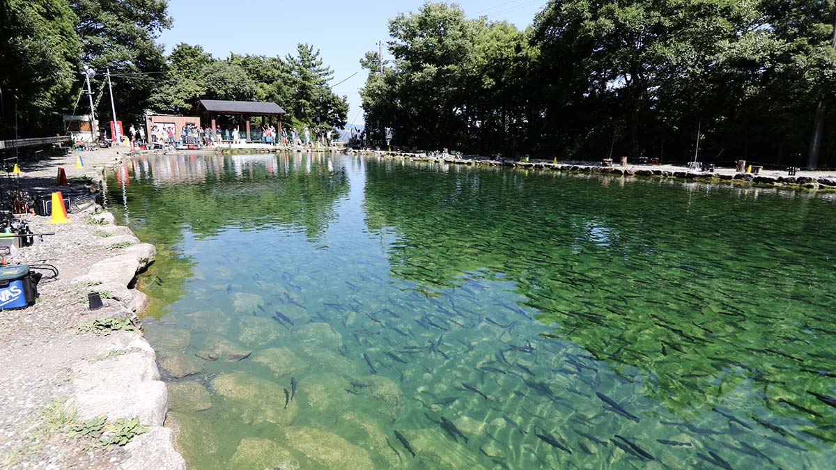 三重県のトラウト管理釣り場