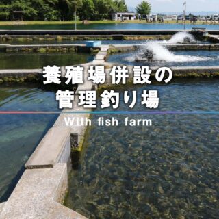 養殖場併設の管理釣り場